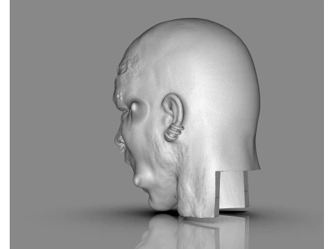 Prisoner Tortured Head 3D Print Model