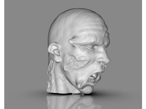 Prisoner Tortured Head 3D Print Model