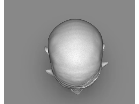 Prisoner Tortured Head 3D Print Model