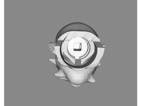 Prisoner Tortured Head 3D-printmodel