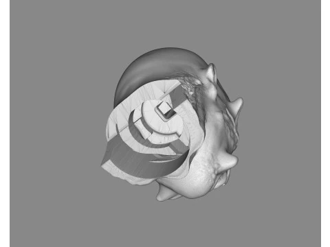 Prisoner Tortured Head 3D Print Model