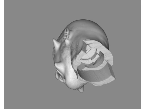 Prisoner Tortured Head 3D Print Model