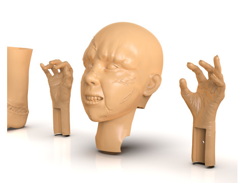 Regan MacNeil Parts 3D 打印模型