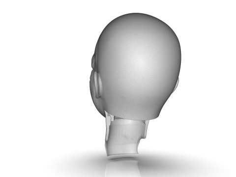 Regan MacNeil Parts 3D 打印模型
