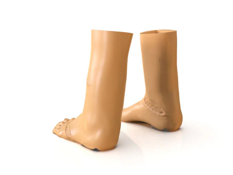 Regan MacNeil Parts 3D Print Model