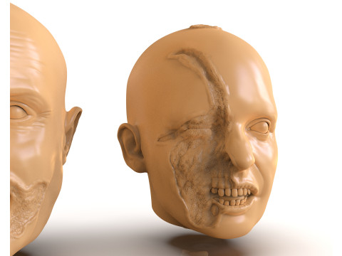 Family Zombie Heads 3D Print Model