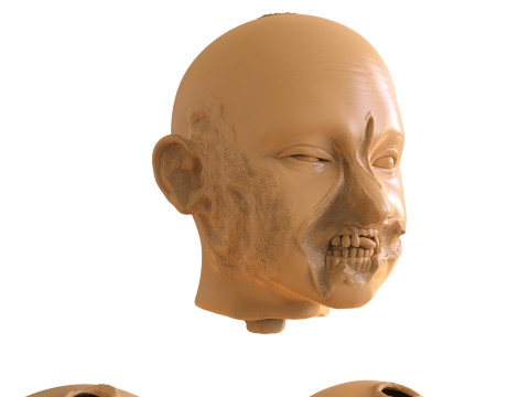 Family Zombie Heads 3D Print Model