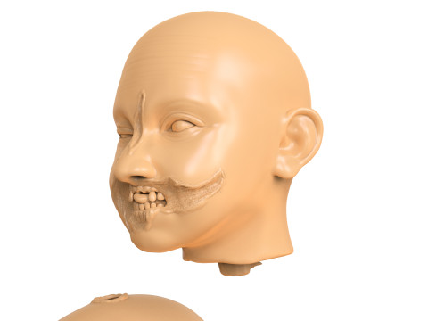 Family Zombie Heads 3D Print Model