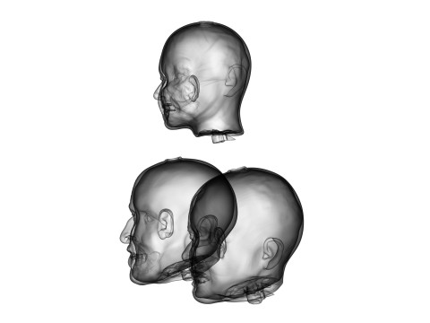 Family Zombie Heads 3D Print Model
