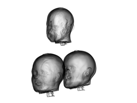 Family Zombie Heads 3D Print Model