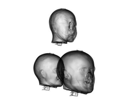Family Zombie Heads 3D Print Model