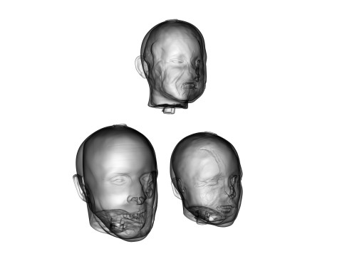 Family Zombie Heads 3D Print Model