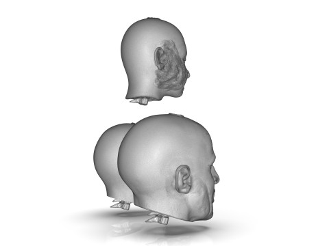 Family Zombie Heads 3D Print Model