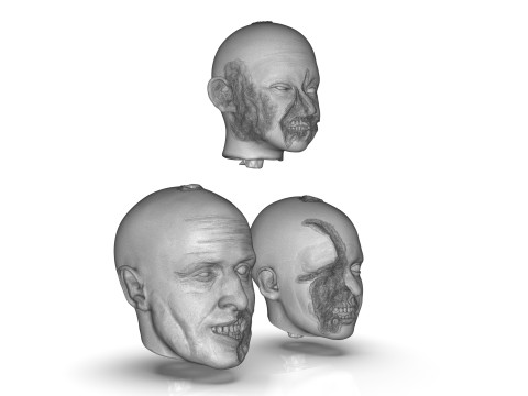Family Zombie Heads 3D Print Model