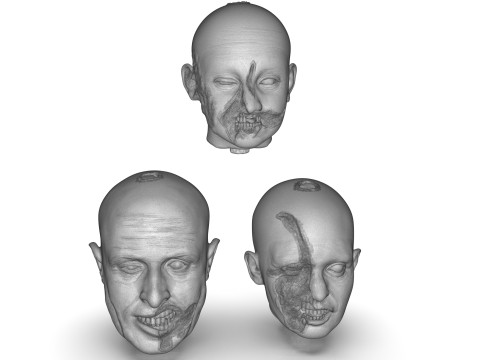 Family Zombie Heads 3D Print Model