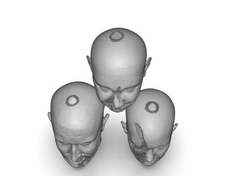 Family Zombie Heads 3D Print Model