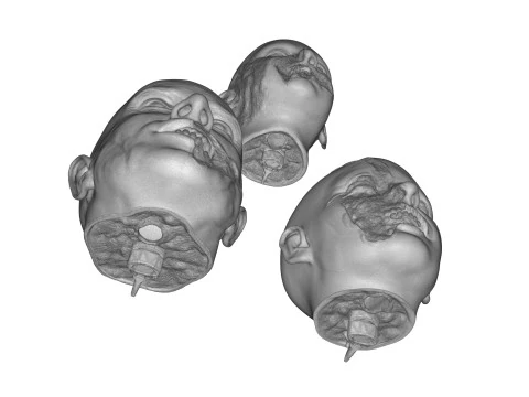 Family Zombie Heads 3D Print Model