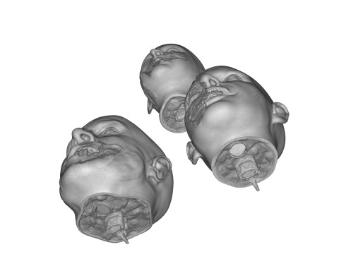 Family Zombie Heads 3D Print Model