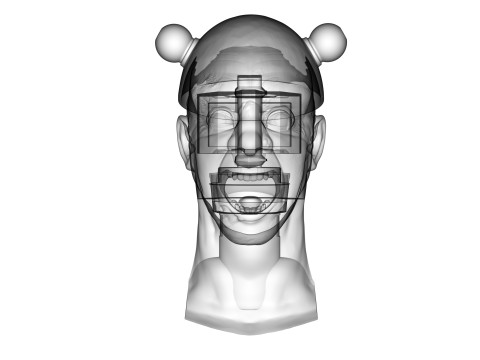 Electrocuted Man 3D प्रिंट मॉडल