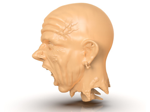 Decapitated Man Head Model do druku 3D