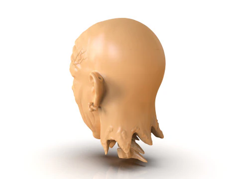 Decapitated Man Head 3D Print Model