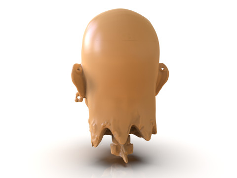 Decapitated Man Head Model do druku 3D