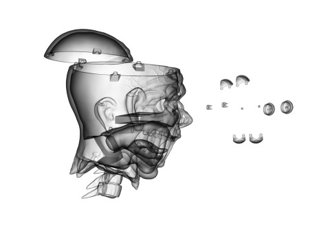 Decapitated Man Head Model do druku 3D