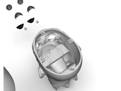 Decapitated Man Head Model do druku 3D