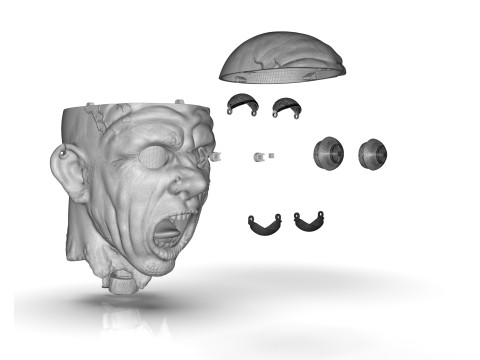 Decapitated Man Head Model do druku 3D