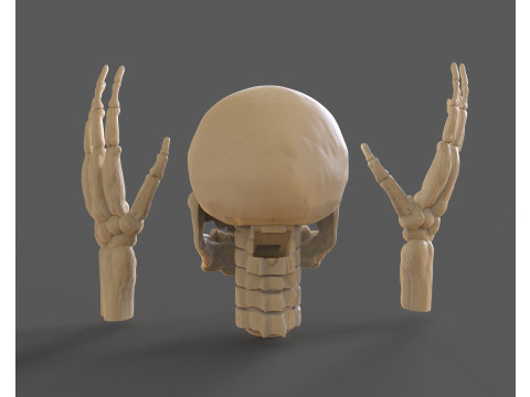 Lord Death Parts Modello di stampa 3D