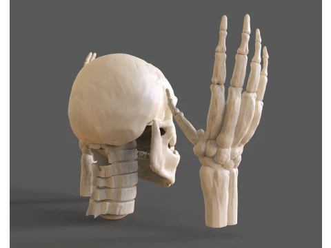 Lord Death Parts 3D Print Model
