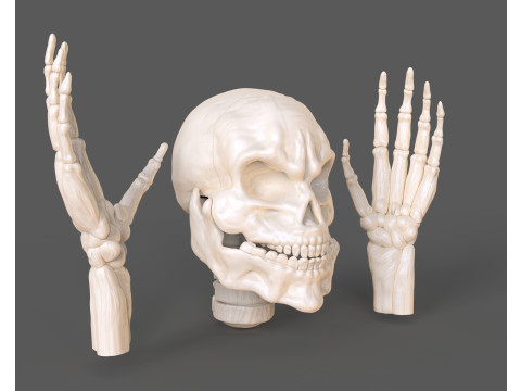 Lord Death Parts Modello di stampa 3D