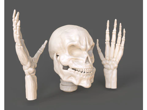 Lord Death Parts 3D Print Model