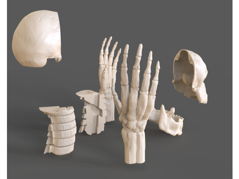 Lord Death Parts Modello di stampa 3D