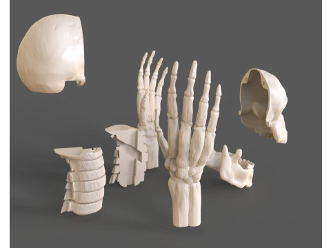 Lord Death Parts 3D Print Model