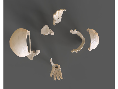 Lord Death Parts Modello di stampa 3D