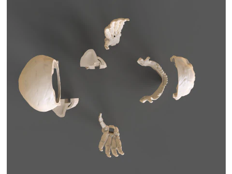 Lord Death Parts 3D Print Model