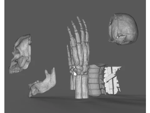 Lord Death Parts 3D Print Model