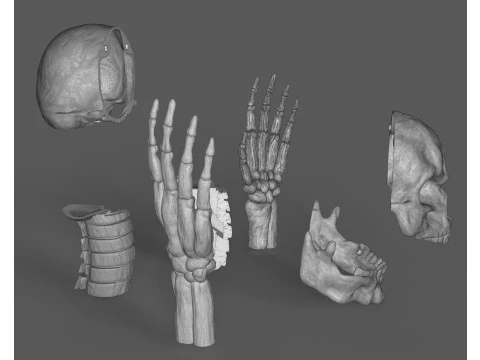 Lord Death Parts 3D Print Model