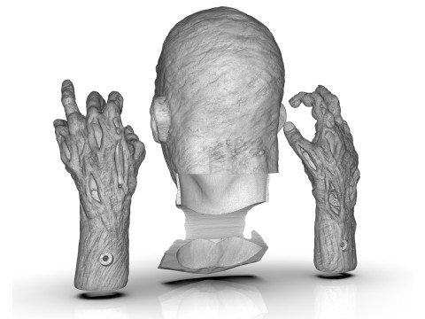 Zombie Parts 3D printmodel