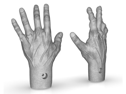 Tortured Man Hands 3D-Druckmodell