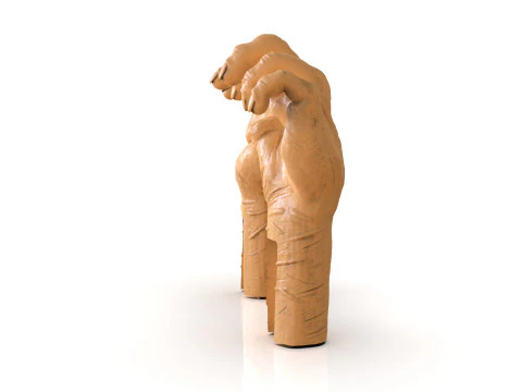 Mutilated Hand 3D Print Model