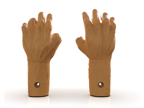 Mutilated Hand 3D 프린트 모델