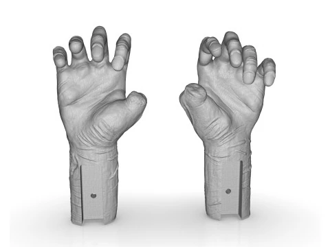 Mutilated Hand 3D Print Model