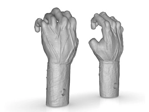 Mutilated Hand 3D Print Model