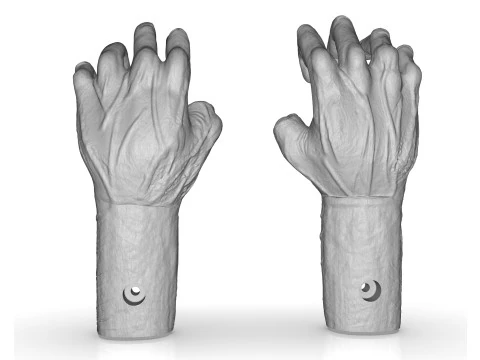 Mutilated Hand 3D Print Model