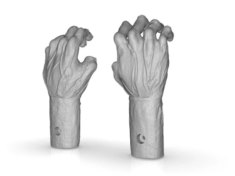 Mutilated Hand 3D Print Model