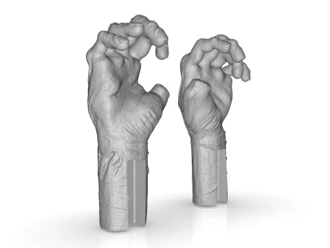 Mutilated Hand 3D Print Model