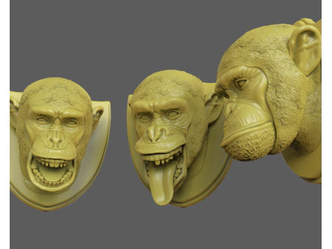 Trofeos de caza de chimpanc&eacute;s Modelo de impresión 3D