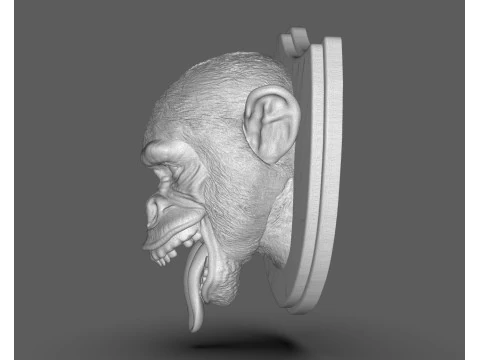 Trofeos de caza de chimpanc&eacute;s Modelo de impresión 3D